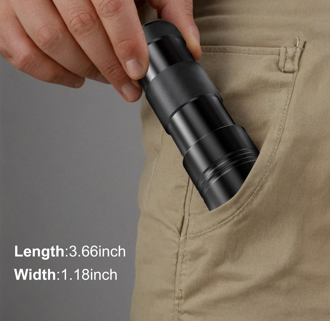 UV Flashlight