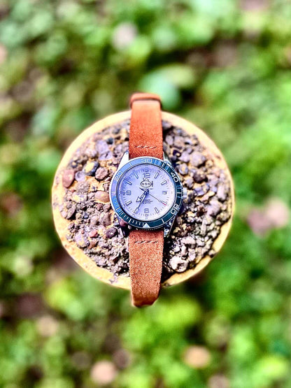 The SS-1 in Green and White